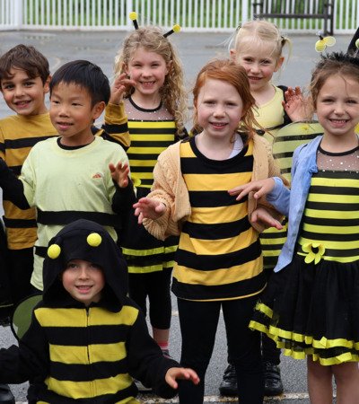 Prep School News   Buzzy Bees   fullwidth 