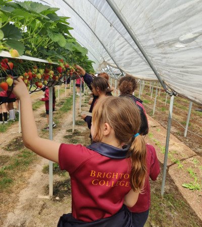 Prep School News   Fruit Picking   portrait 