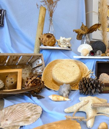 Shells and other beach items arranged into a display for Beach School