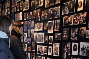  Pupils looking at photographs displayed at Auschwitz 