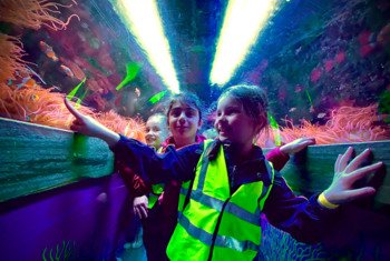  Pre-Prep pupils admiring the clownfish on a school trip to the aquarium 