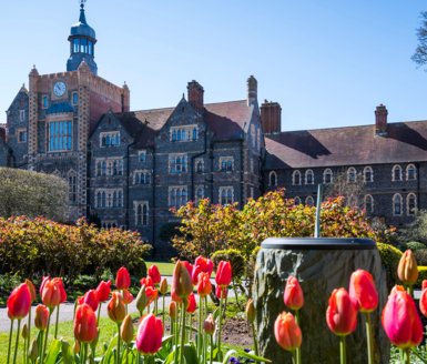  Tulips around the sundial outside the Chapel 