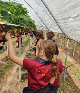  Prep School News   Fruit Picking   portrait  