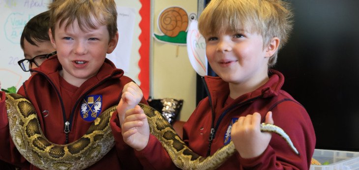  Pre-Prep pupils excitedly holding a snake at Reptylers 