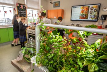 Plants and pupils enjoying a lesson in the HEALTH classroom