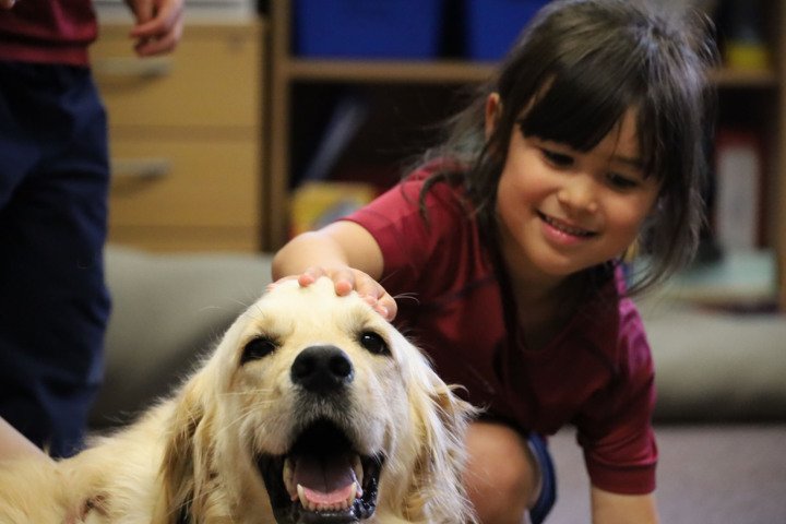  Prep School News   Therapy Dog   CTA  