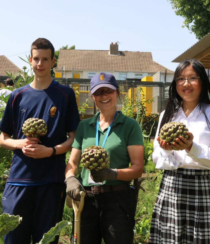  Pupils and Grounds Staff in the garden holding home grown artichokes 