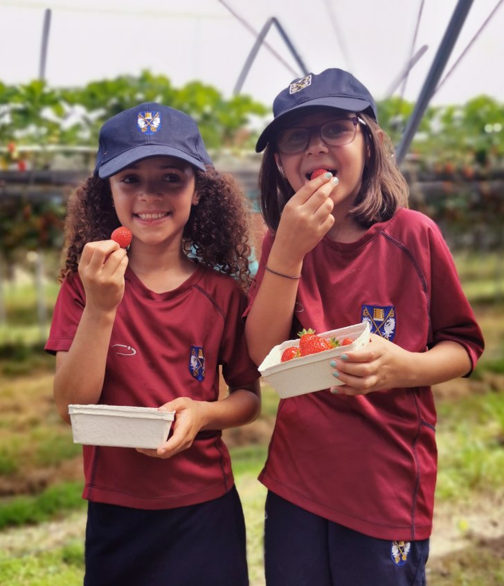  Prep School pupils eating strawberries that they picked on a school trip 